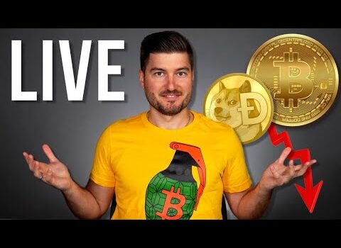 The Crypto Market CRASH | WHAT YOU NEED TO KNOW