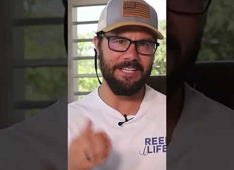 You MUST Understand THE DIP if you want to SUCCEED #shorts #flippinggenius You MUST Understand THE DIP if you want to SUCCEED #shorts #flippinggenius