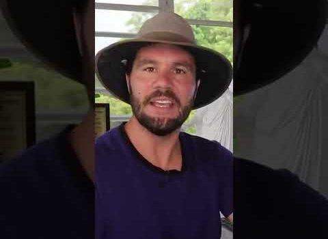 Does an All-Cash Offer Actually Mean “ALL CASH?” #shorts Does an All-Cash Offer Actually Mean “ALL CASH?” #shorts