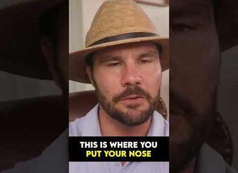 The Four Stages of Business! The Four Stages of Business!