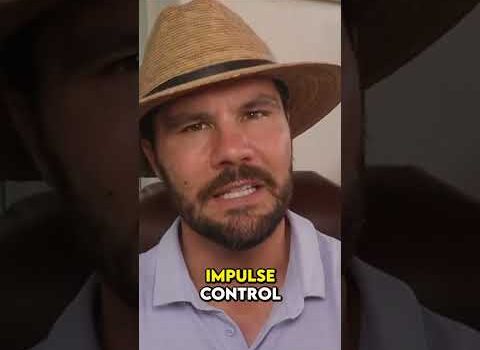 The 3 Distinct Characteristics of Successful Entrepreneurs