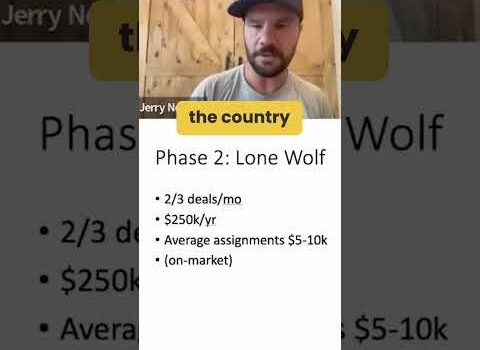 Are You A Lone Wolf in Your Business?