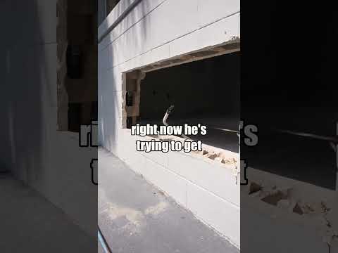 How much to pay for multifamily? Consult with Ben