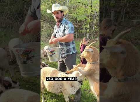 Come to my farm for a 2-day real estate event! Come to my farm for a 2-day real estate event!