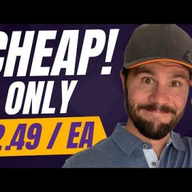The Cheapest Seller Leads Available ANYWHERE! (WCL Updated)