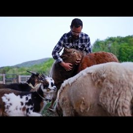 Why EVERYONE Should Own A Small Farm (Agritourism Explained)