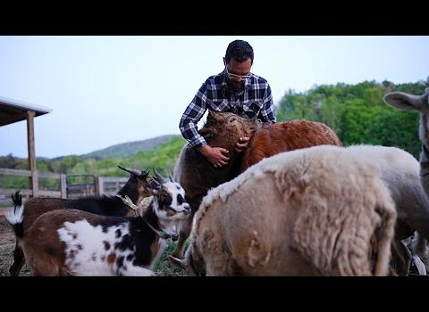 Why EVERYONE Should Own A Small Farm (Agritourism Explained) Why EVERYONE Should Own A Small Farm (Agritourism Explained)