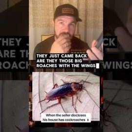 When the seller discloses that his house has cockroaches 🪳