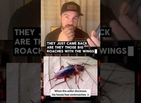 When the seller discloses that his house has cockroaches 🪳